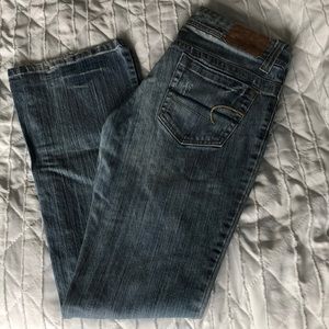 American Eagle AE Artist Jeans